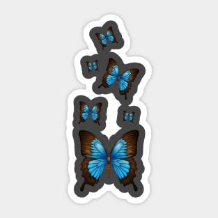 Blue Morpho Butterfly Lover Swarm Lepidoptera Entomology Sticker